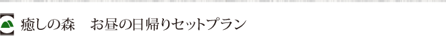 癒しの森 お昼の日帰りプラン
